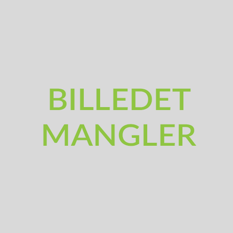 Billedet mangler